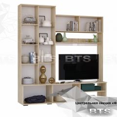 ФЛАЙ Центральная секция ЦС-01 (дуб сонома/белый) в Сысерти - sysert.mebel24.online | фото 4