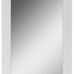 Зеркало Optima 60 Домино (DO1902Z) в Сысерти - sysert.mebel24.online | фото 2