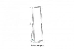 АЛЕКСАНДРИЯ-9.1 Зеркало напольное в Сысерти - sysert.mebel24.online | фото 2