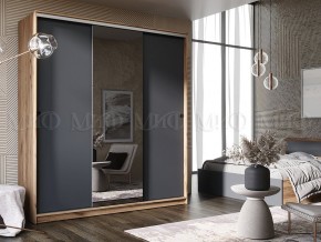 АЛЬЯНС Шкаф-купе 1,5 в Сысерти - sysert.mebel24.online | фото
