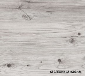 АСАЯ Кухонный гарнитур Мега Прайм 2 (1600*1700 мм) ПМ+СДШ в Сысерти - sysert.mebel24.online | фото 8