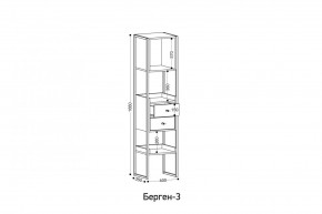 БЕРГЕН 3 Стеллаж в Сысерти - sysert.mebel24.online | фото 3