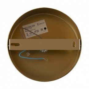 Бра Freya Zelda FR5124WL-01BS в Сысерти - sysert.mebel24.online | фото 6