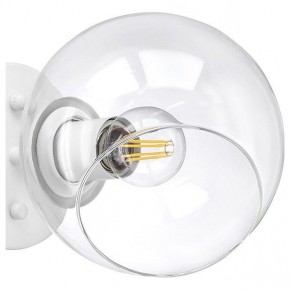 Бра Lightstar Beta 785616 в Сысерти - sysert.mebel24.online | фото 5