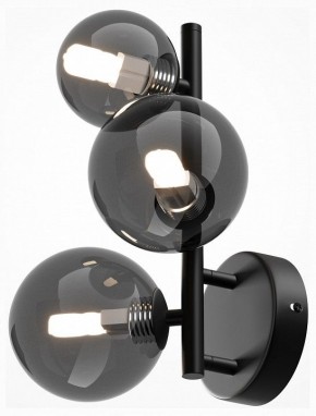 Бра Maytoni Dallas MOD545WL-03B в Сысерти - sysert.mebel24.online | фото 2