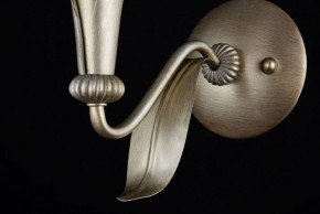 Бра Maytoni Lillian H311-01-G в Сысерти - sysert.mebel24.online | фото 7
