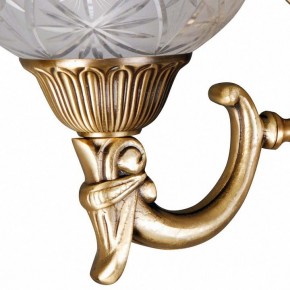Бра MW-Light Афродита 2 317021902 в Сысерти - sysert.mebel24.online | фото 5