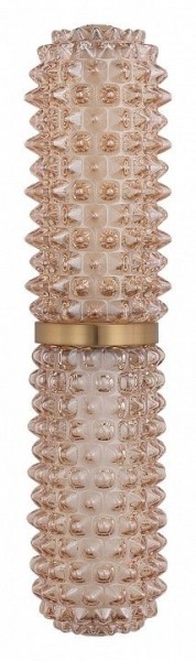 Бра ST-Luce SAGUARO SL6144.301.01 в Сысерти - sysert.mebel24.online | фото 4