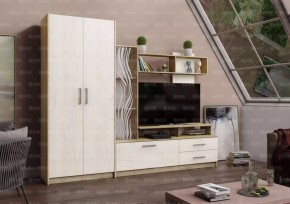 ДАРЬЯ Гостиная (Крафт серый/Крафт белый) в Сысерти - sysert.mebel24.online | фото