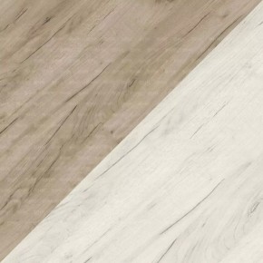 ДАРЬЯ Гостиная (Крафт серый/Крафт белый) модульная в Сысерти - sysert.mebel24.online | фото 4