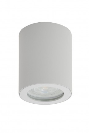 DK3007-WH Накладной светильник влагозащ., IP 44, 15 Вт, GU10, белый, алюминий в Сысерти - sysert.mebel24.online | фото 1