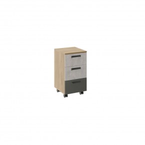 Дуглас подростковая (модульная) в Сысерти - sysert.mebel24.online | фото 30