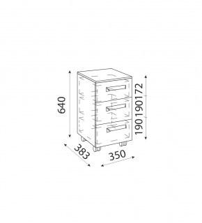 Дуглас подростковая (модульная) в Сысерти - sysert.mebel24.online | фото 31