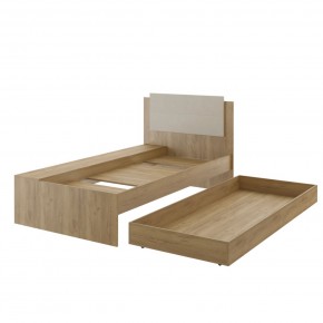 Дуглас подростковая (модульная) в Сысерти - sysert.mebel24.online | фото 40
