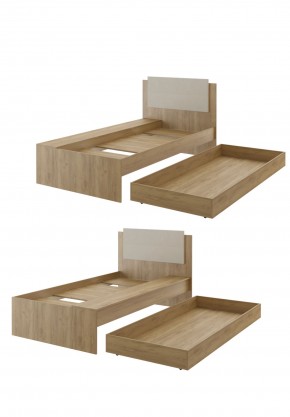Дуглас подростковая (модульная) в Сысерти - sysert.mebel24.online | фото 41