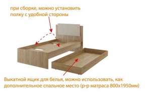 Дуглас подростковая (модульная) в Сысерти - sysert.mebel24.online | фото 5