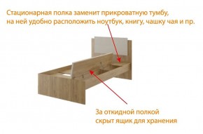 Дуглас подростковая (модульная) в Сысерти - sysert.mebel24.online | фото 6