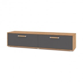 ФЛОРИДА Ф31 Тумба ТВ (дуб золотой/графит) в Сысерти - sysert.mebel24.online | фото