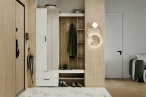 Гарнитур для прихожей Торонто в Сысерти - sysert.mebel24.online | фото 5