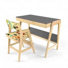 Комплект растущий стол и стул с чехлом 38 попугаев «Вуди» (Серый, Береза, Монстры) в Сысерти - sysert.mebel24.online | фото