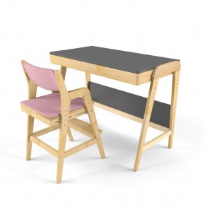 Комплект растущий стол и стул с чехлом 38 попугаев «Вуди» (Серый, Береза, Розовый) в Сысерти - sysert.mebel24.online | фото 1