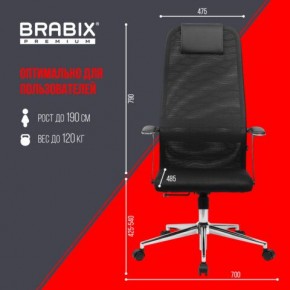 Кресло BRABIX PREMIUM "Ultimate EX-801" хром, плотная двойная сетка Х2, черное, 532917 в Сысерти - sysert.mebel24.online | фото 7