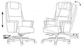 Кресло для руководителя Бюрократ _DUKE в Сысерти - sysert.mebel24.online | фото 8