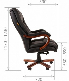 Кресло для руководителя Chairman 503 в Сысерти - sysert.mebel24.online | фото 5