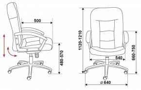 Кресло компьютерное Бюрократ T-9908AXSN-AB в Сысерти - sysert.mebel24.online | фото 6