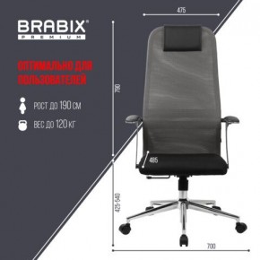 Кресло офисное BRABIX PREMIUM "Ultimate EX-801" хром, плотная двойная сетка Х2, черное/серое, 532918 в Сысерти - sysert.mebel24.online | фото 5