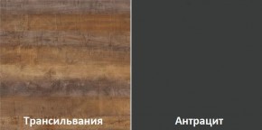 Кухонный гарнитур угловой Трансильвания 2600х1600 мм (Стол. 38 мм) в Сысерти - sysert.mebel24.online | фото 3