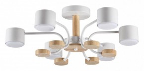 Люстра на штанге Lumion Rondo 8231/6C в Сысерти - sysert.mebel24.online | фото
