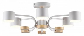 Люстра на штанге Lumion Rondo 8231/6C в Сысерти - sysert.mebel24.online | фото 2