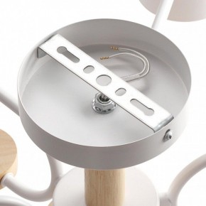 Люстра на штанге Lumion Rondo 8231/6C в Сысерти - sysert.mebel24.online | фото 6