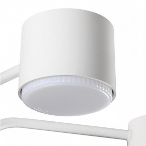 Люстра на штанге Lumion Rondo 8231/6C в Сысерти - sysert.mebel24.online | фото 7