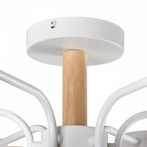 Люстра на штанге Lumion Rondo 8231/6C в Сысерти - sysert.mebel24.online | фото 8