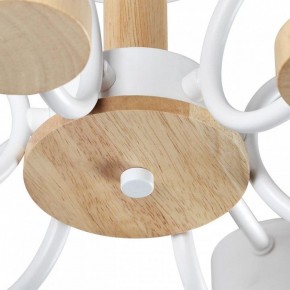 Люстра на штанге Lumion Rondo 8231/6C в Сысерти - sysert.mebel24.online | фото 9