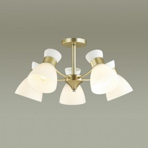 Люстра на штанге Lumion Wilma 4535/5C в Сысерти - sysert.mebel24.online | фото 3
