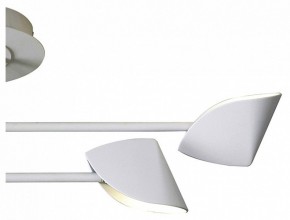 Люстра на штанге Mantra Capuccina 7574 в Сысерти - sysert.mebel24.online | фото 3