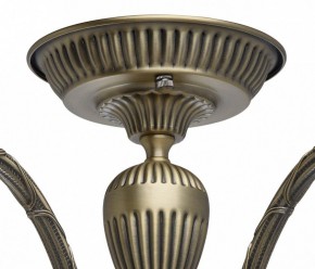 Люстра на штанге MW-Light Аманда 6 481011805 в Сысерти - sysert.mebel24.online | фото 10