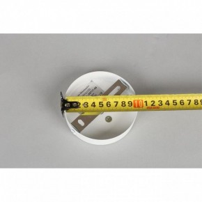 Люстра на штанге Omnilux Mearino OML-29717-08 в Сысерти - sysert.mebel24.online | фото 10