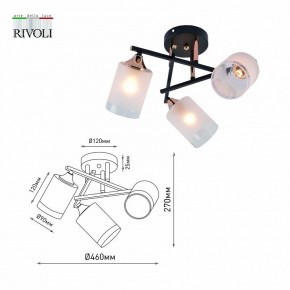 Люстра на штанге Rivoli Fiona Б0059259 в Сысерти - sysert.mebel24.online | фото