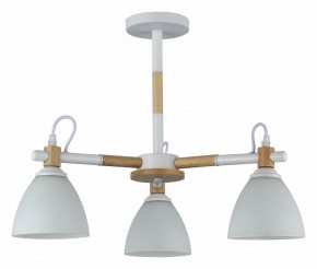 Люстра на штанге Rivoli Louise Б0060982 в Сысерти - sysert.mebel24.online | фото