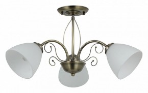 Люстра на штанге Rivoli Sue Б0060985 в Сысерти - sysert.mebel24.online | фото