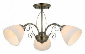 Люстра на штанге Rivoli Sue Б0060985 в Сысерти - sysert.mebel24.online | фото 2