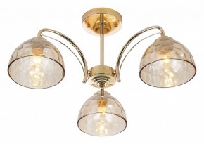 Люстра на штанге Rivoli Terri Б0060988 в Сысерти - sysert.mebel24.online | фото