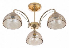 Люстра на штанге Rivoli Terri Б0060988 в Сысерти - sysert.mebel24.online | фото 2