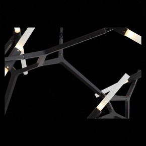 Люстра на штанге ST-Luce Laconicita SL947.402.20 в Сысерти - sysert.mebel24.online | фото 12