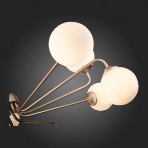 Люстра на штанге ST-Luce Redjino SLE106203-12 в Сысерти - sysert.mebel24.online | фото 7