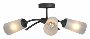 Люстра на штанге Vitaluce V2850 V2850-1/3PL в Сысерти - sysert.mebel24.online | фото